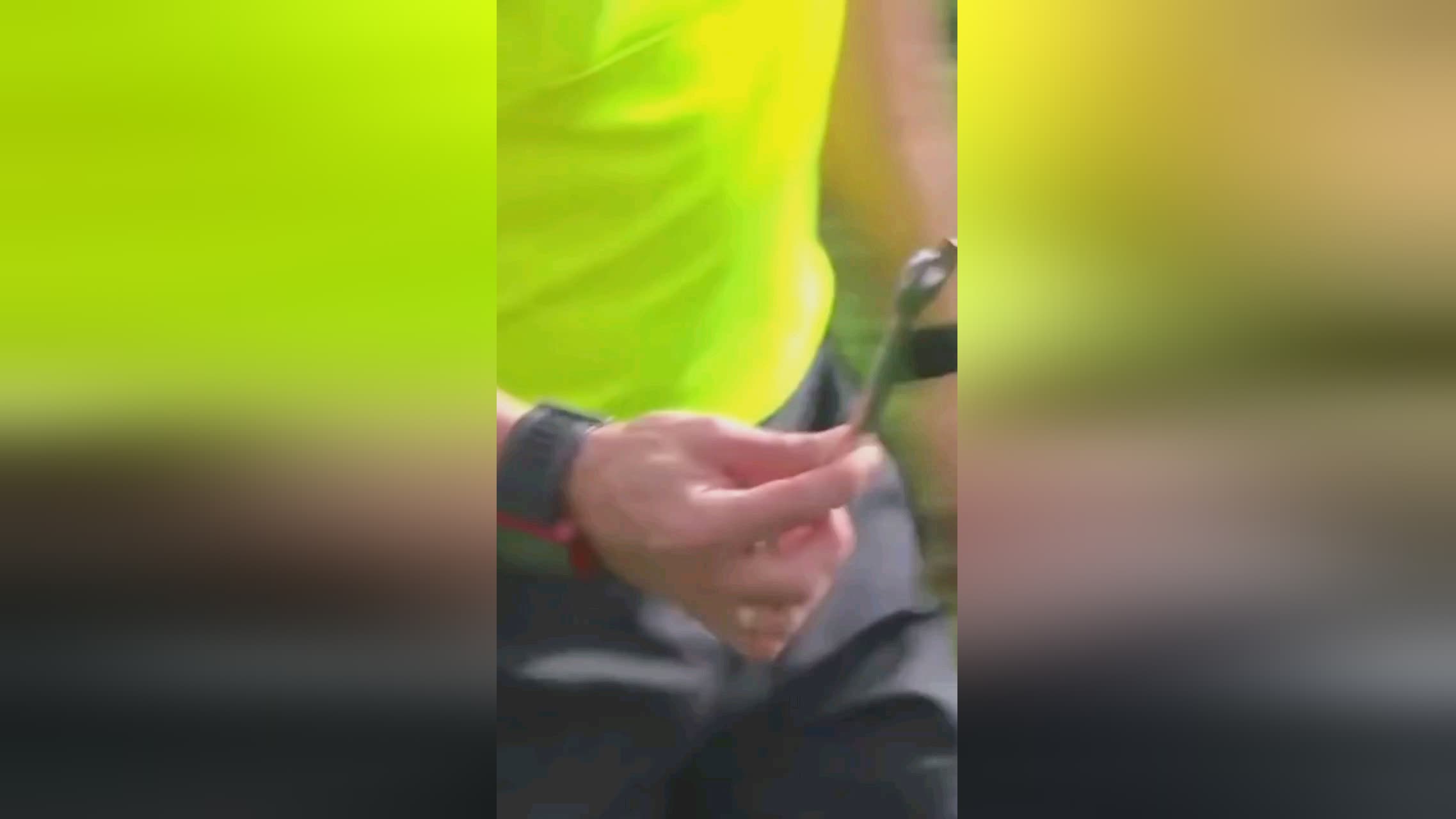 程度